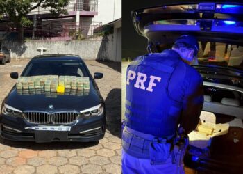 Operações policiais apreendem mais de R$ 16 milhões em drogas no Sul de Minas