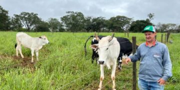 Agro + Verde recupera 3.300 hectares no oeste de Minas Gerais 