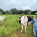 Agro + Verde recupera 3.300 hectares no oeste de Minas Gerais 