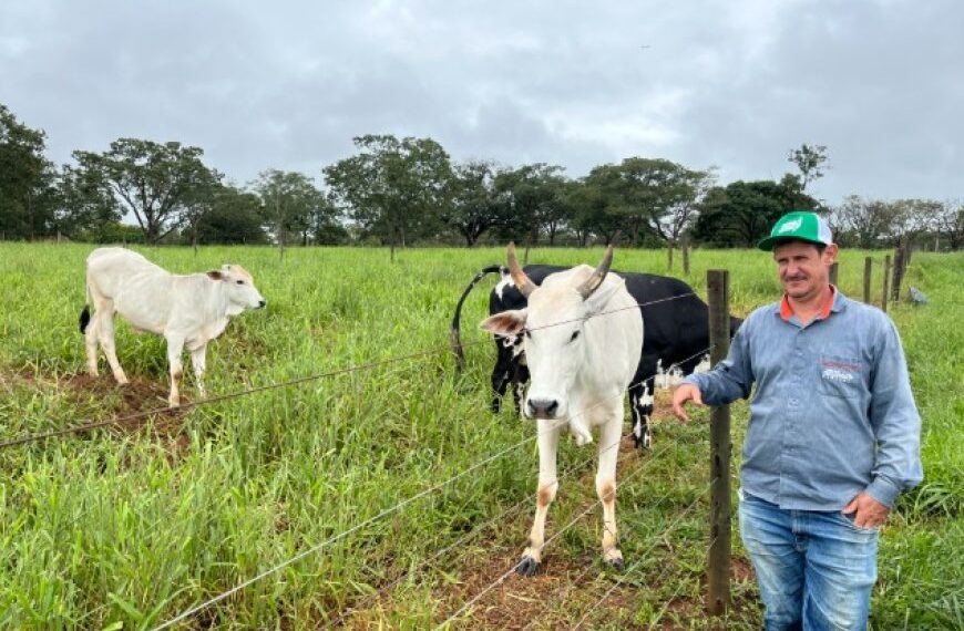 Agro + Verde recupera 3.300 hectares no oeste de Minas Gerais 