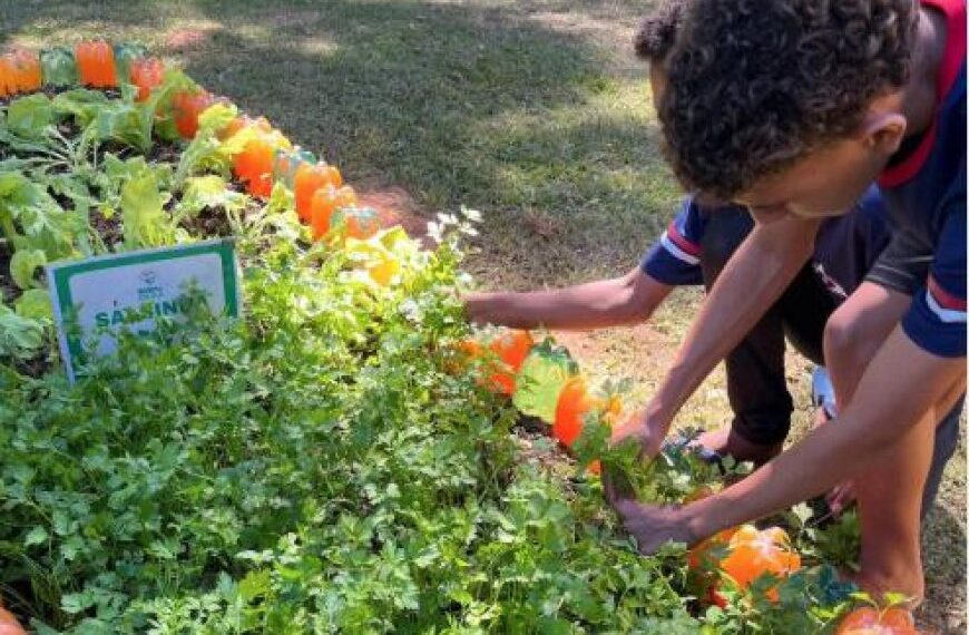 Agro na Escola une educação e prática no campo em Belo Oriente 