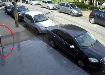 VÍDEO: Idosa furta planta de vaso de empresa em Poços de Caldas