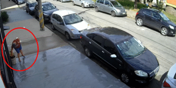 VÍDEO: Idosa furta planta de vaso de empresa em Poços de Caldas
