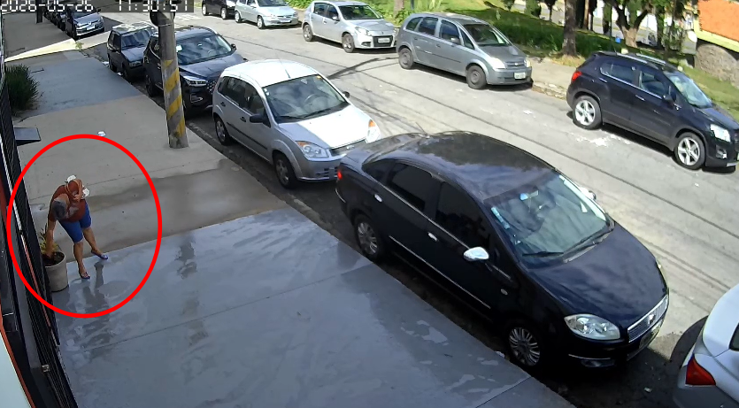 VÍDEO: Idosa furta planta de vaso de empresa em Poços de Caldas