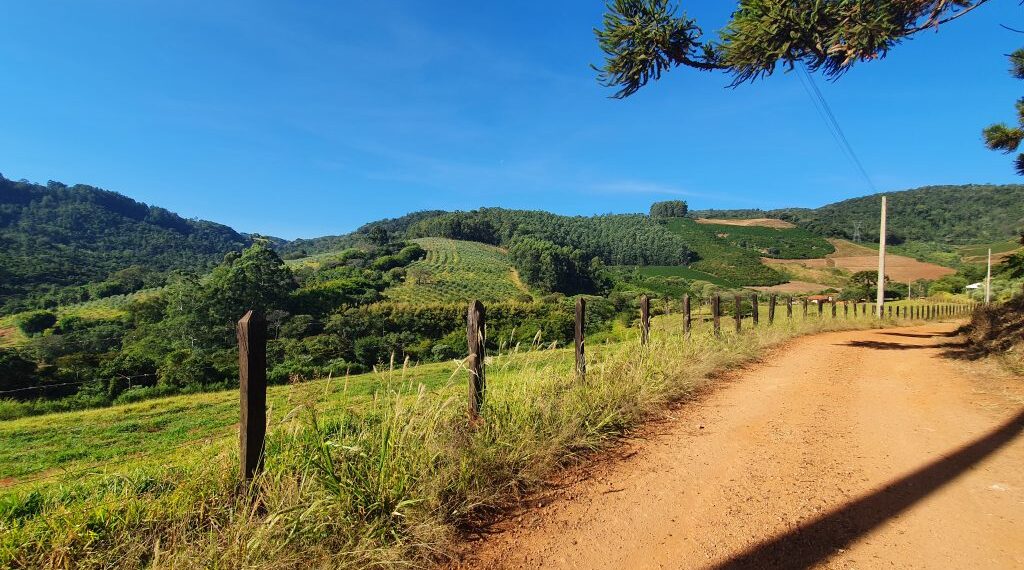 Procon reúne operadoras para discutir sinal de celular na zona rural de Poços
