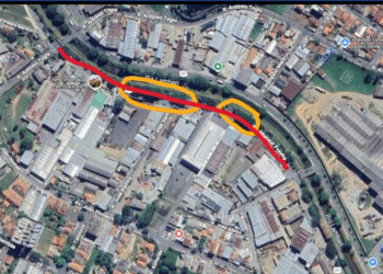 Trecho da Avenida João Pinheiro será fechado para poda de árvores; confira