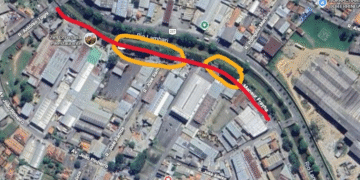 Trecho da Avenida João Pinheiro será fechado para poda de árvores; confira