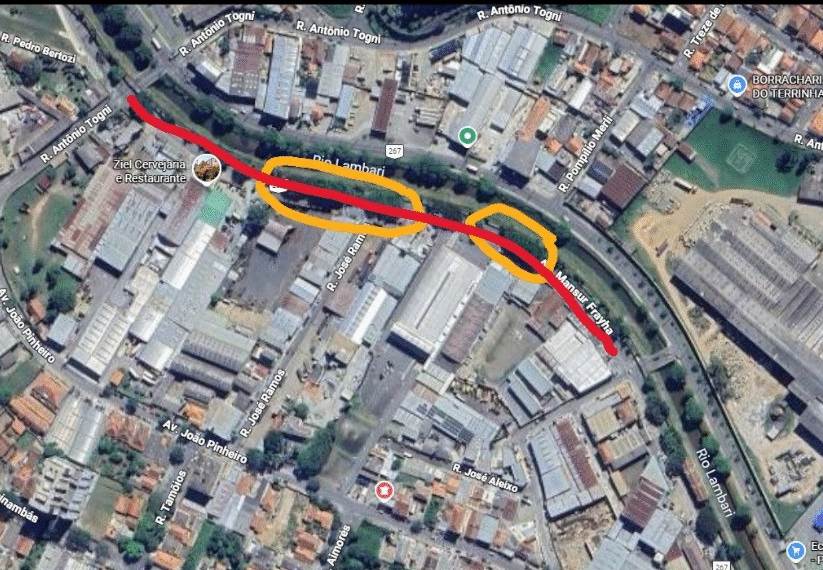 Trecho da Avenida João Pinheiro será fechado para poda de árvores; confira