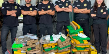 Mais de 150 quilos de drogas apreendidas no Sul de Minas são incinerados