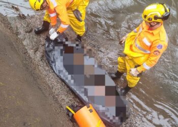 Corpo é encontrado submerso em córrego