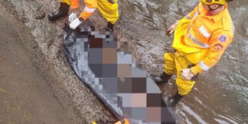 Corpo é encontrado submerso em córrego