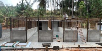 Abrigo Municipal de Cães passa por ampla modernização em Poços de Caldas