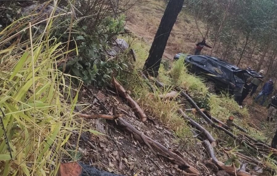 Trabalhador morre em acidente durante corte de eucalipto