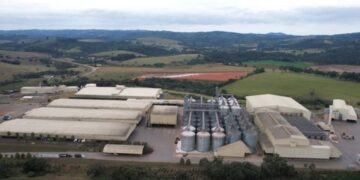 Cooxupé lidera ranking Agropecuário Mineiro 