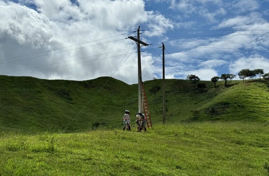 Eletrificação rural recebe investimentos 