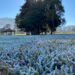 Inverno chega a Poços de Caldas e reforça alerta para cuidados com a saúde