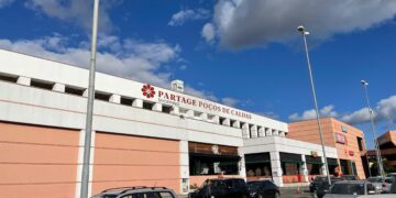 Feira de adoção de cães e gatos será realizada no dia 21 de junho em Poços de Caldas