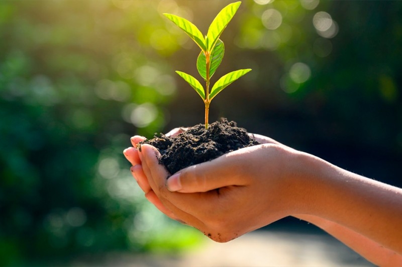 Câmara recebe projetos da nova Política Ambiental de Poços de Caldas