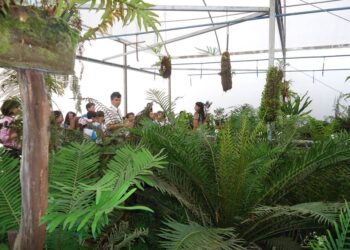 Jardim Botânico de Poços realiza oficinas gratuitas para toda a família