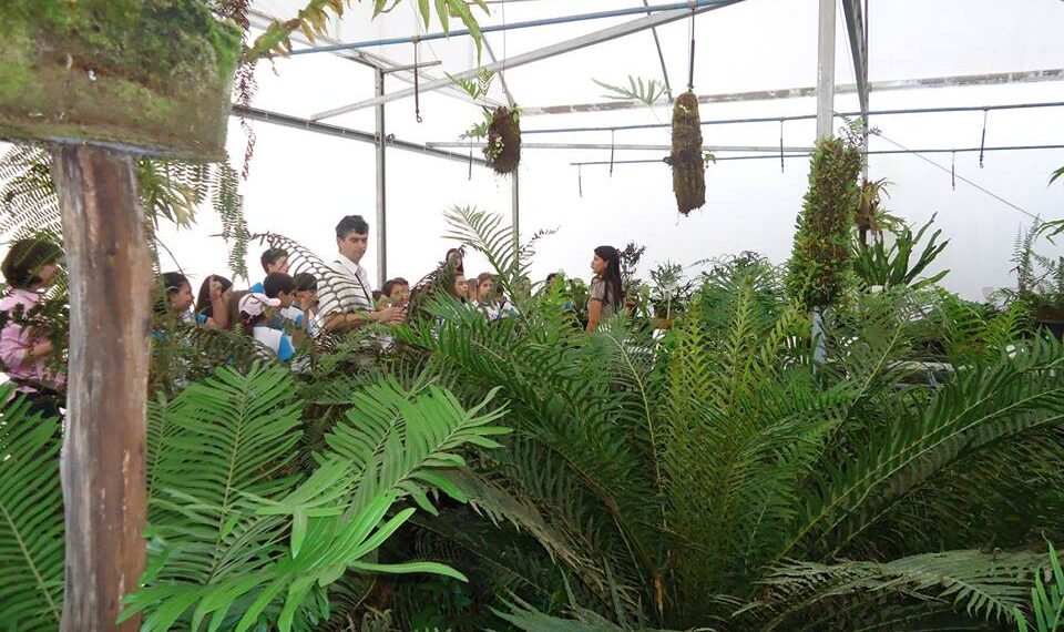 Jardim Botânico de Poços realiza oficinas gratuitas para toda a família