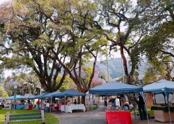 Expo-Arte de Rua terá horário especial de funcionamento até o fim de julho