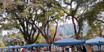 Expo-Arte de Rua terá horário especial de funcionamento até o fim de julho