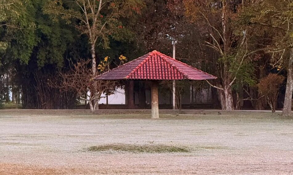 FOTOS: Frio provoca geada em Poços de Caldas