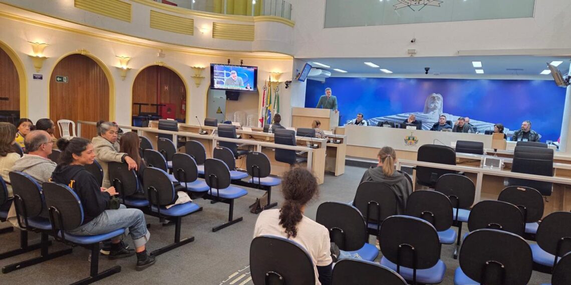 Comissão de Terras Raras reforça a importância de estudos independentes