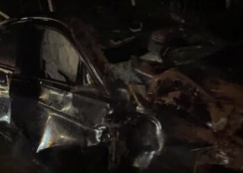Colisão entre BMW e carro de bois mata quatro animais e deixa motorista ferido
