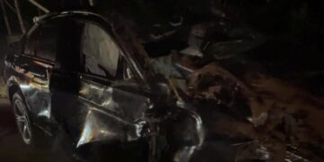 Colisão entre BMW e carro de bois mata quatro animais e deixa motorista ferido