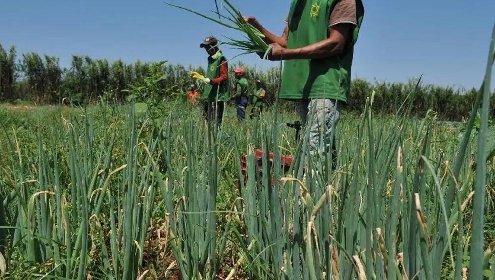 IFSULDEMINAS – Poços de Caldas abre inscrições para aquisição de alimentos da Agricultura Familiar