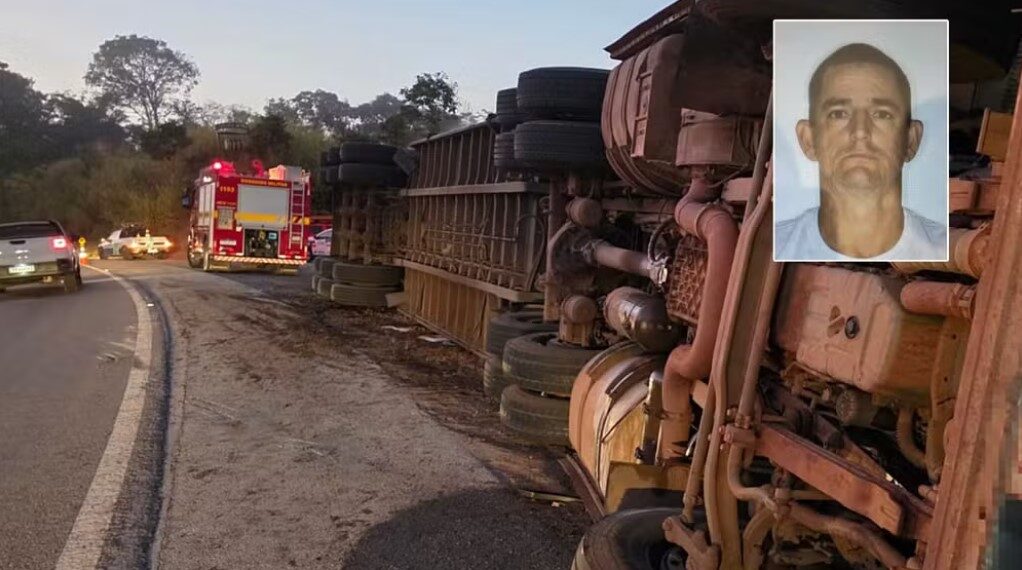 Motorista morre após caminhão com 75 bovinos tombar no Sul de Minas