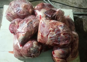 Polícia Civil prende dupla suspeita de abate clandestino de cavalos e apreende 165 kg de carne