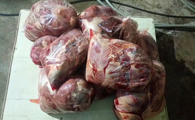 Polícia Civil prende dupla suspeita de abate clandestino de cavalos e apreende 165 kg de carne