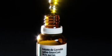 Anvisa autoriza 116 mil importações de cannabis medicinal no 1º semestre