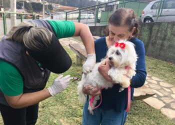 Vacinação antirrábica imuniza mais de 1,7 mil animais em Poços