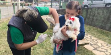 Vacinação antirrábica imuniza mais de 1,7 mil animais em Poços