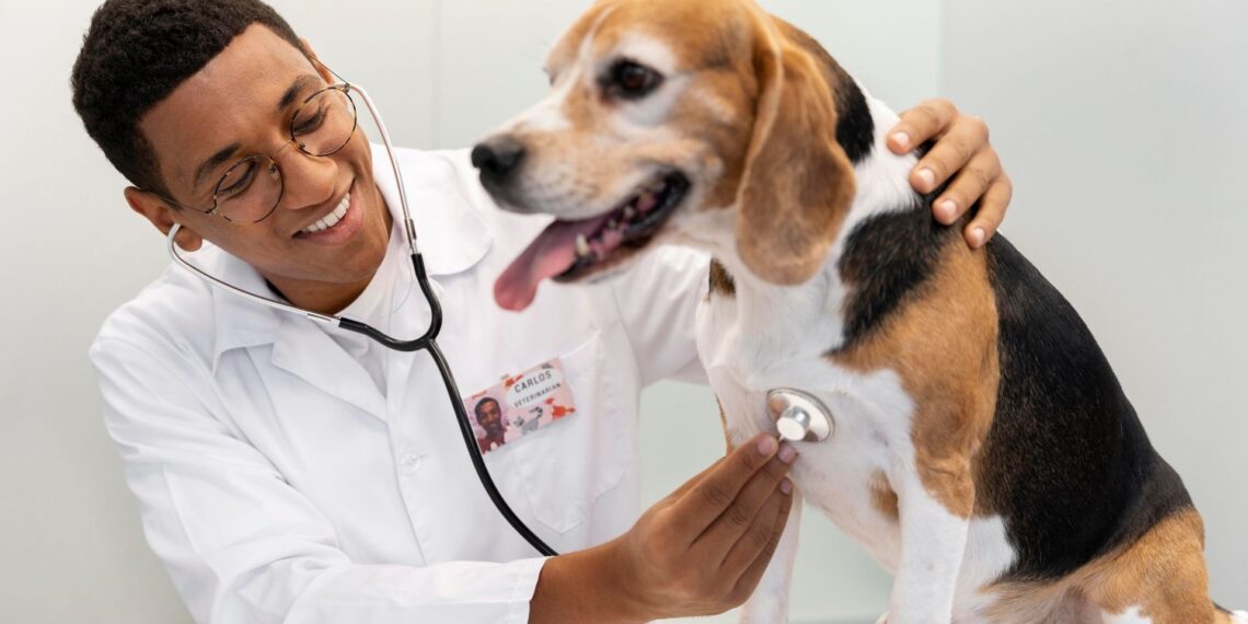 Inscrições para representantes do Conselho de Proteção Animal terminam em setembro