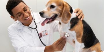 Inscrições para representantes do Conselho de Proteção Animal terminam em setembro