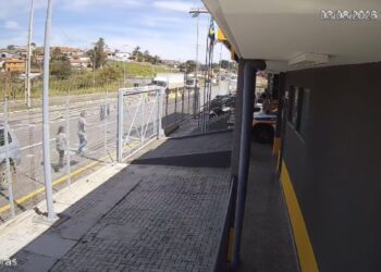 VÍDEO: Criança é socorrida após ser atacada na cabeça por cachorro em Poços
