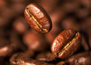 Últimos dias para inscrições no 19º Concurso de Qualidade dos Cafés de Poços de Caldas