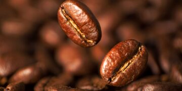 Últimos dias para inscrições no 19º Concurso de Qualidade dos Cafés de Poços de Caldas
