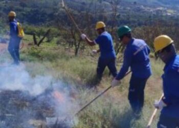 DMAE participa de treinamento contra incêndios florestais