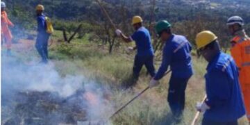 DMAE participa de treinamento contra incêndios florestais