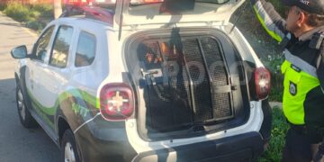 Moto clonada é apreendida pelo Demutran em Poços de Caldas