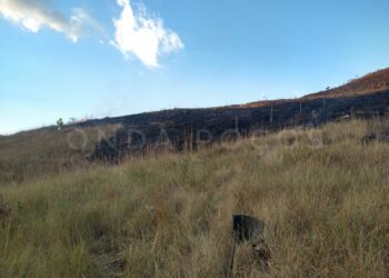 Bombeiros combatem incêndio em vegetação que ameaçava casas em Poços de Caldas