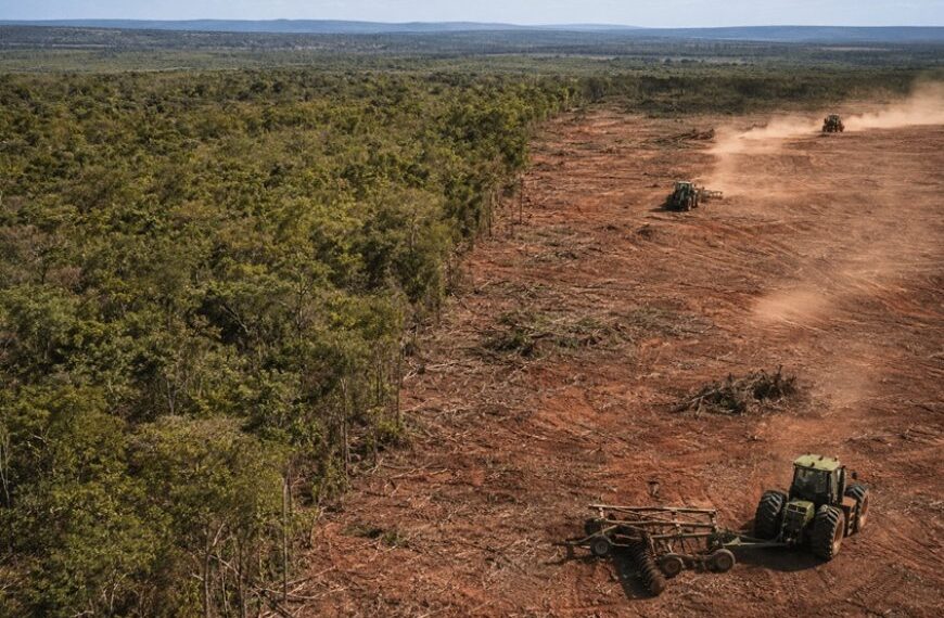 Operação investiga desmatamento do Norte