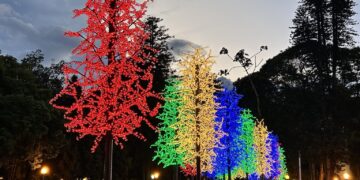 Inscrições para patrocínio do Natal Poços de Luz são prorrogadas; confira