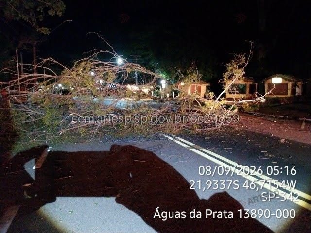 SP-342 é bloqueada após queda de árvore em Águas da Prata