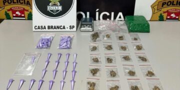 Mulher é presa por tráfico de drogas
